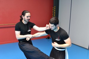hunggarnancy-artsmartiaux-wushu-kungfu-ericbourbonnais-18juin2016-15   